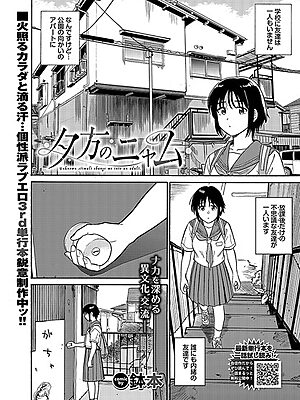 夕方のニャム【鉢本 コミックバベル編集部】