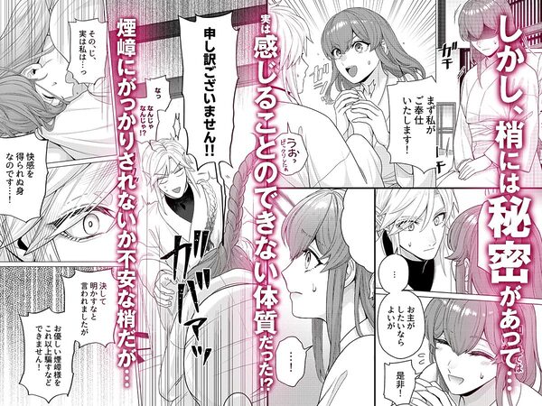 嫁ぎ先は土地神さま一目惚れから始まる溺愛エッチで誰のものかわからされました 画像4