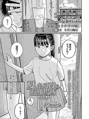 夏、ある夜の避難場所-後編-【あにゃんこ】