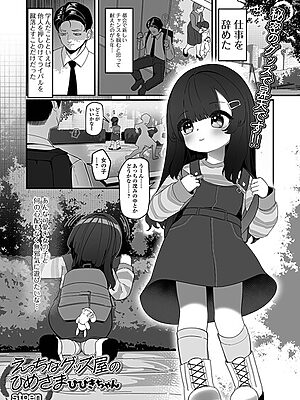 えっちなグッズ屋のひめさま ひびきちゃん【stpen 一水社編集部】