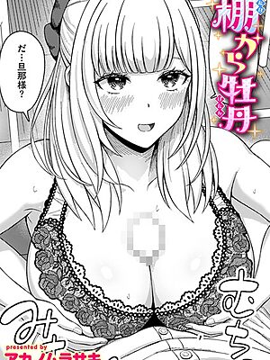 棚から牡丹【アカノムラサキ】