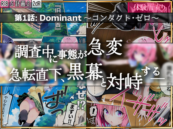 S計画.2 〜第3王女・モモ、奴◯堕ち〜 画像2