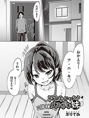 アニキにたかるメスガキ妹【ぷりてゐ】