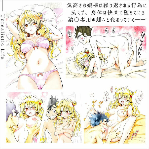 高慢令嬢、格下男子に抱かれて  快楽に堕ちたお嬢様の末路  天条院沙○ 画像1