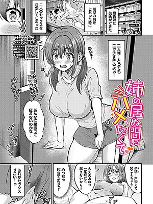 姉の居ぬ間にハメたくて”/><meta property=