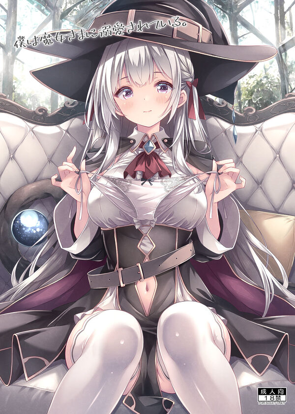 僕は魔女さまに溺愛されている。 画像1