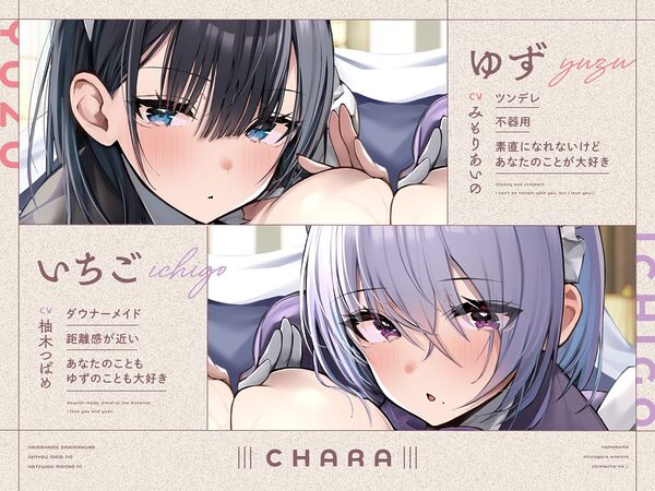 生ハメ抱き枕専用メイドの発情マ〇コ×2に生ハメしながらお寝んねしましょーね♪ 画像1