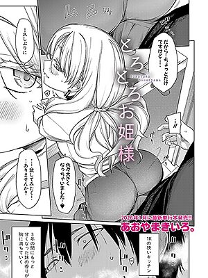 とろとろお姫様”/><meta property=