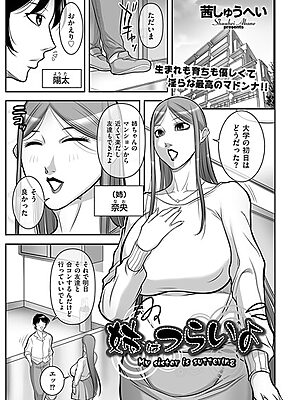 姉はつらいよ”/><meta property=