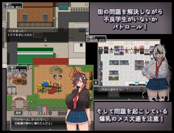 メス犬トレーニング 画像6