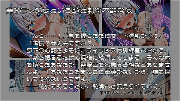 聖騎士フィリシア堕落録 〜洗脳訓練と隷属紋の刻印〜 画像3
